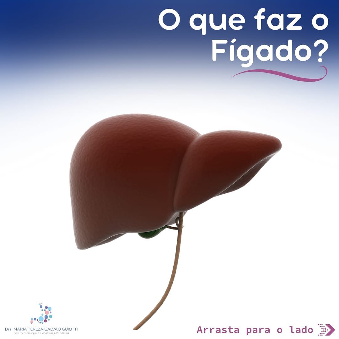 O que faz o Figado pop pediatria dra maria tereza gastropediatria gastro hepato pediatria pinheiros sao paulo gastrointestinal figado orgao corpo humano funcoes