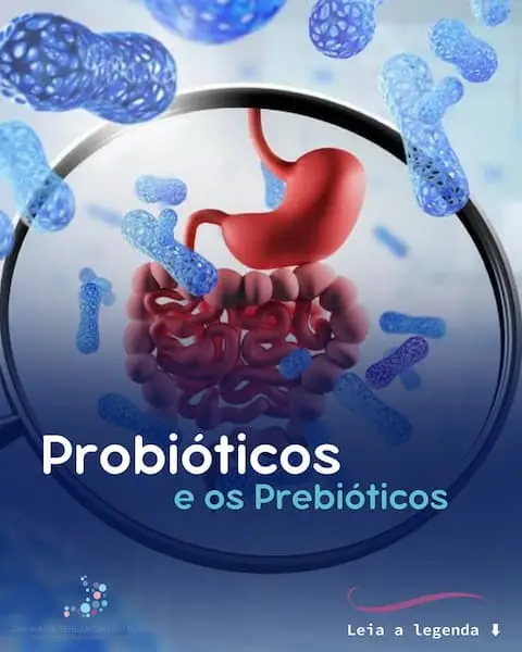 Probióticos e os prebióticos